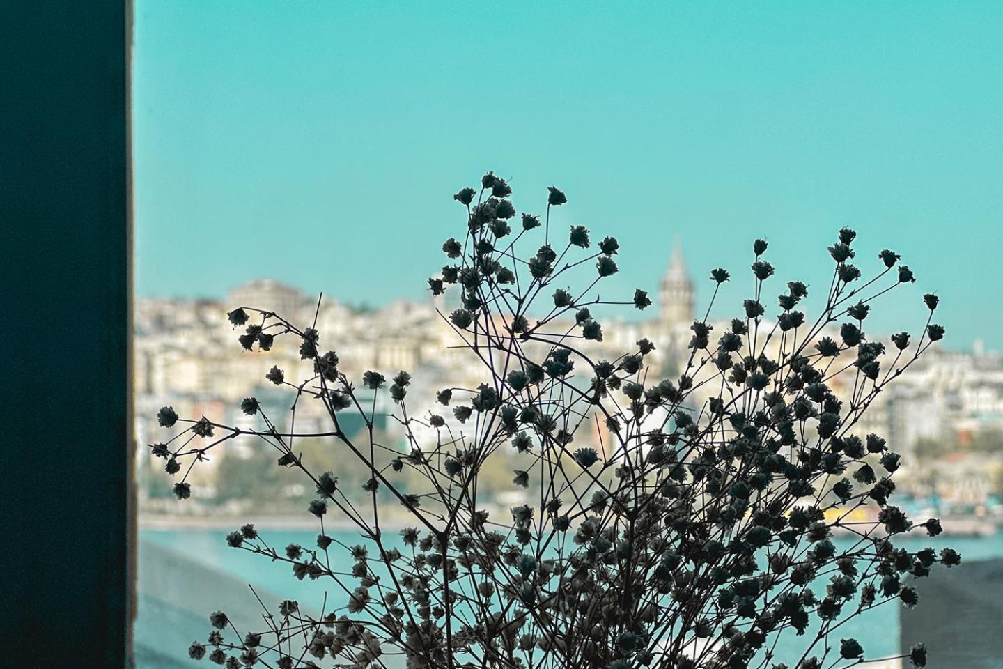 איסטמבול The Halic Bosphorus Hotel מראה חיצוני תמונה
